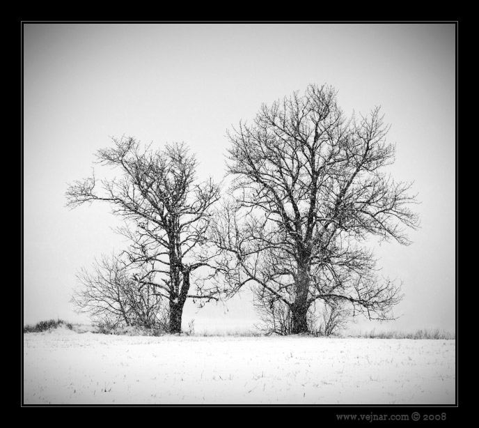 ernobl foto 15