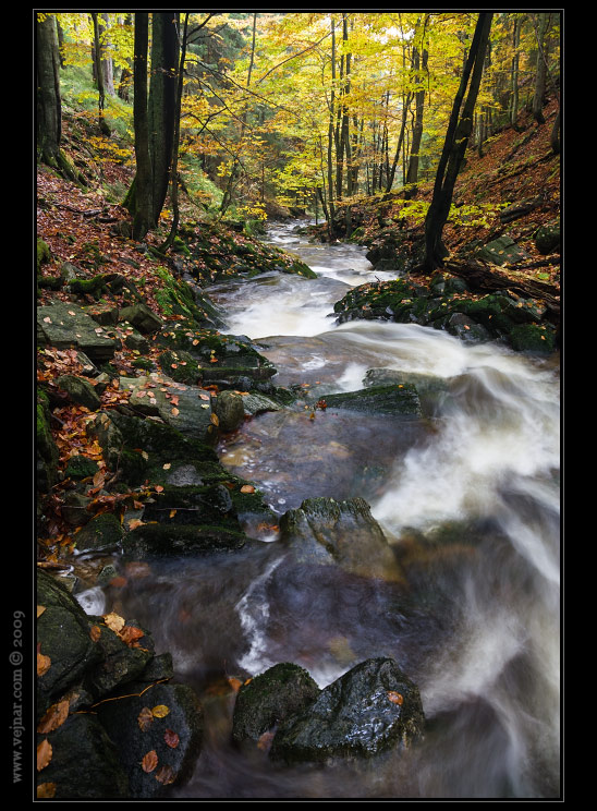 stream in Giant Mountains