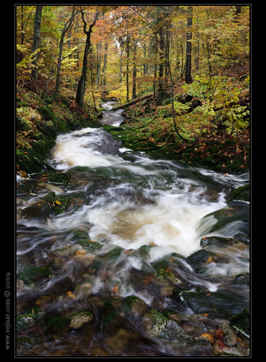 wild water