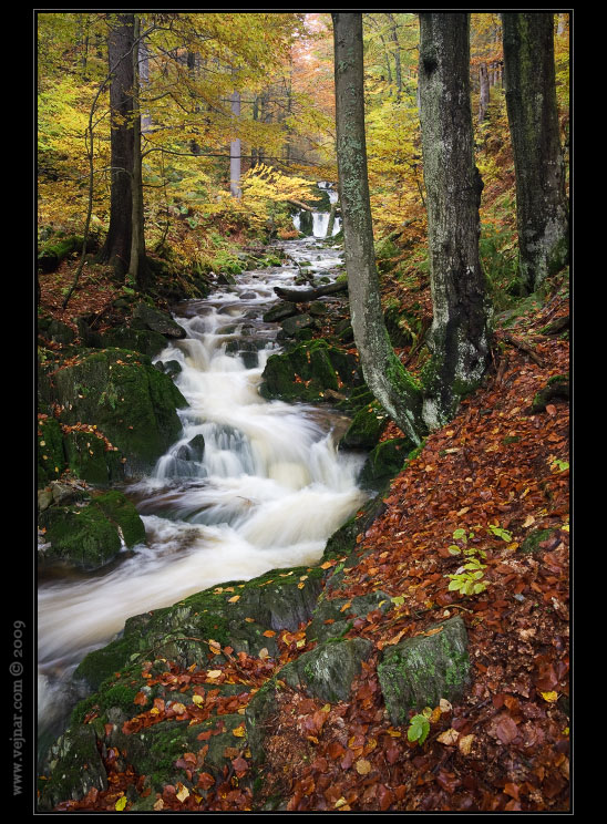 podzimní potok