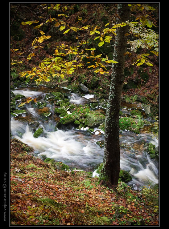 Giant Mountains creek