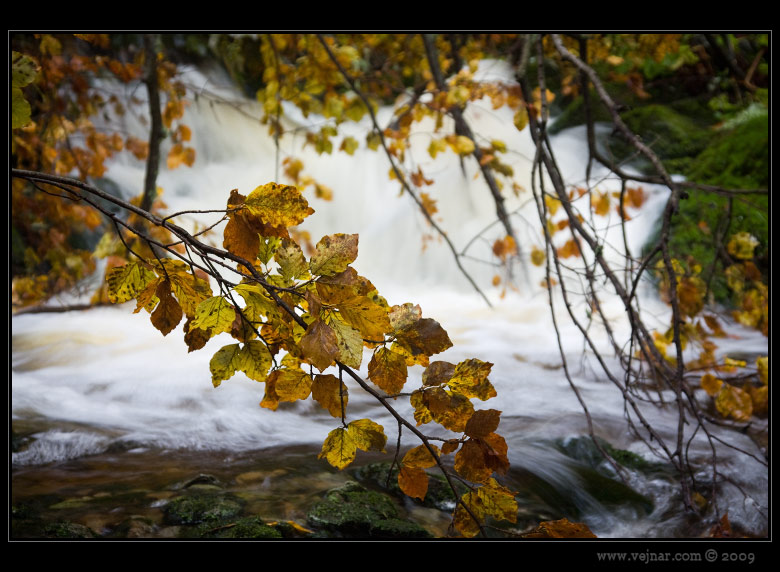 black autumn creek