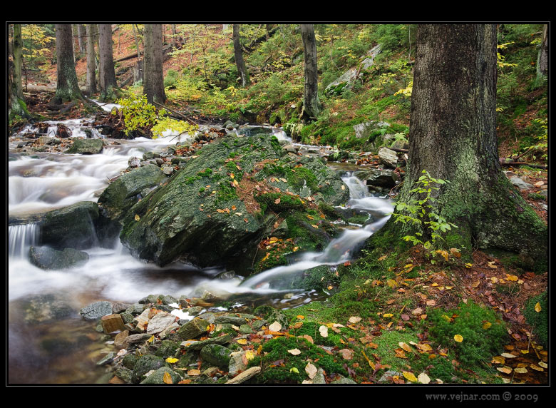 Cernohorsky creek 09