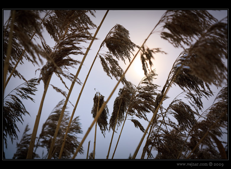fotky 01