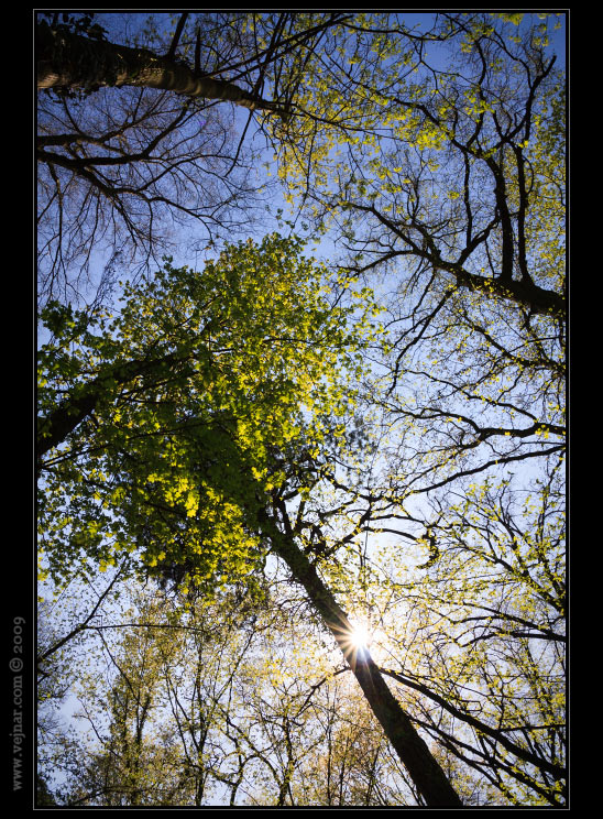 spring photos