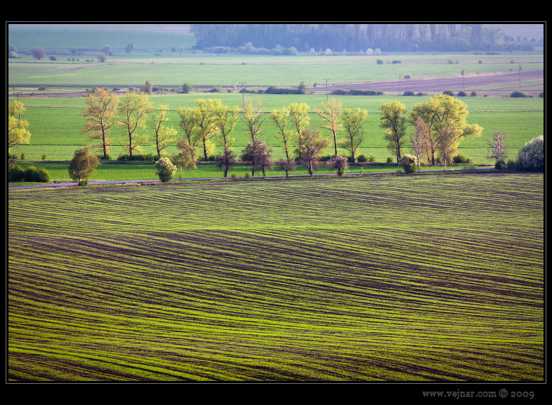 spring landscape
