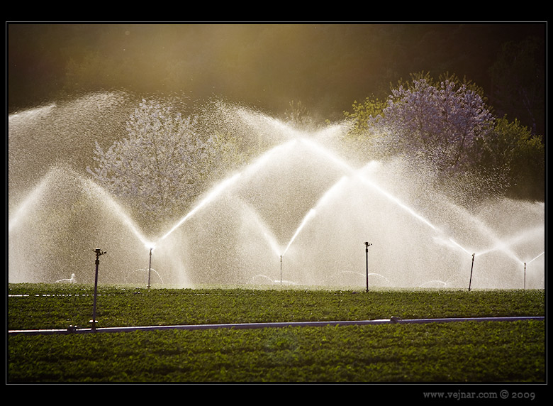 spring in nature
