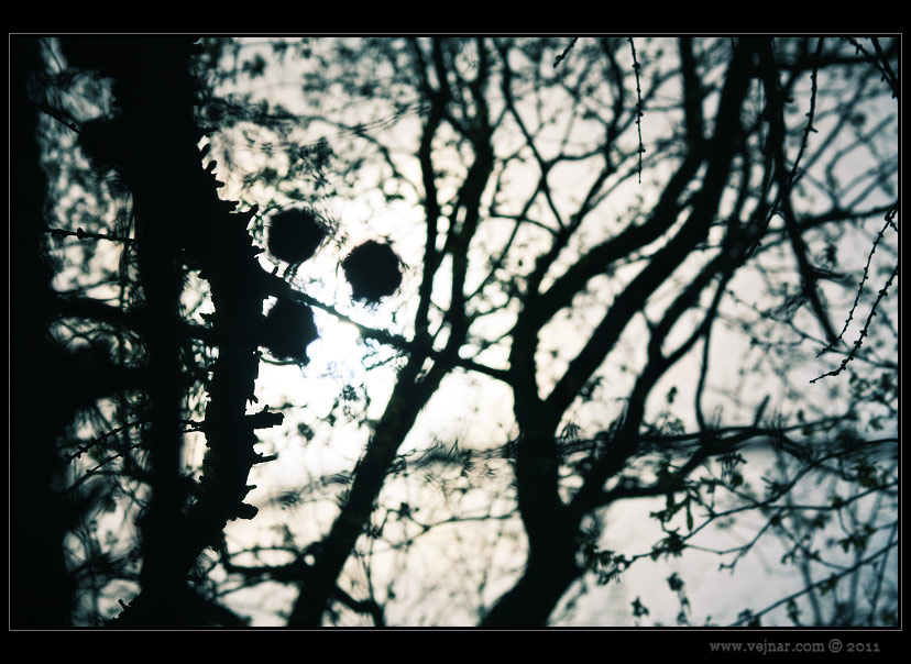 spring abstraction