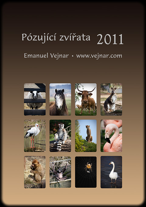 kalend zvata
