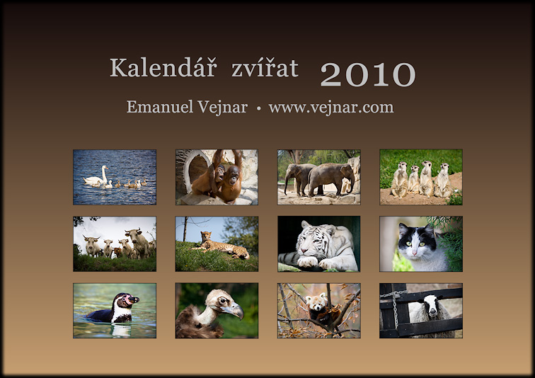 foto kalend zvat