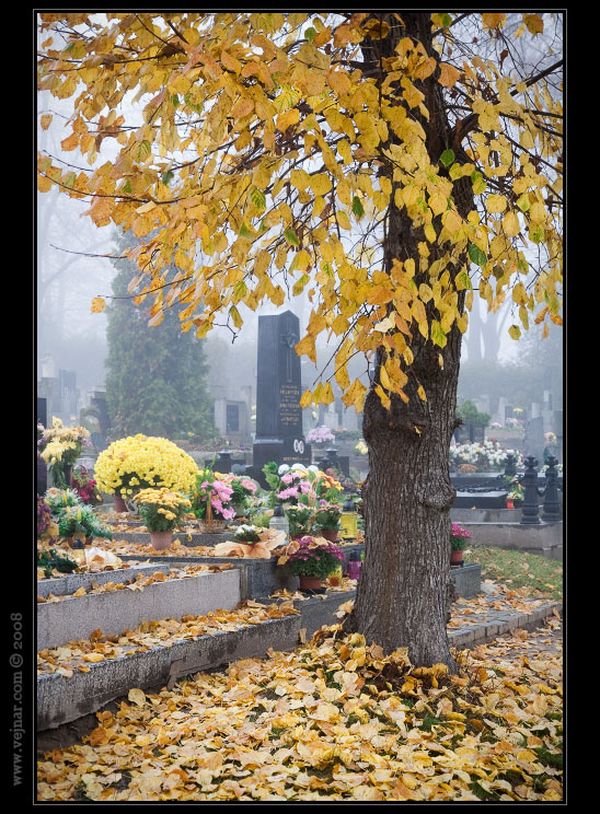 podzim foto
