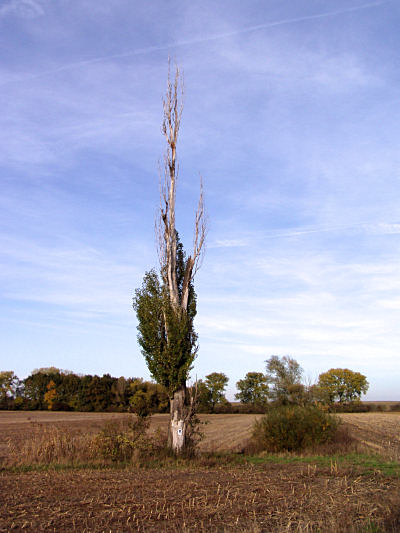 labe6