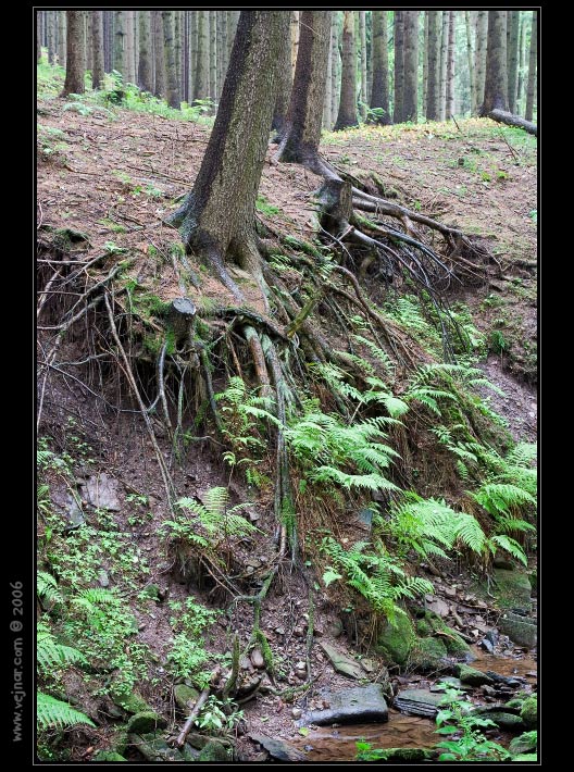 strom 13
