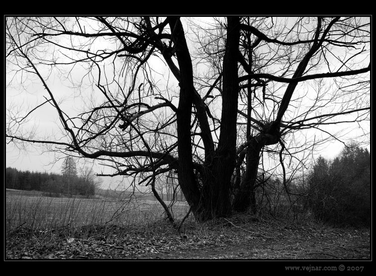 strom 07