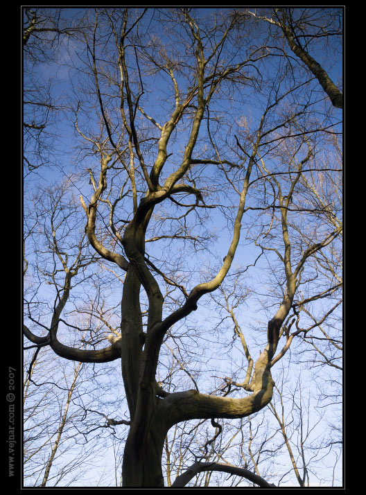 strom 14