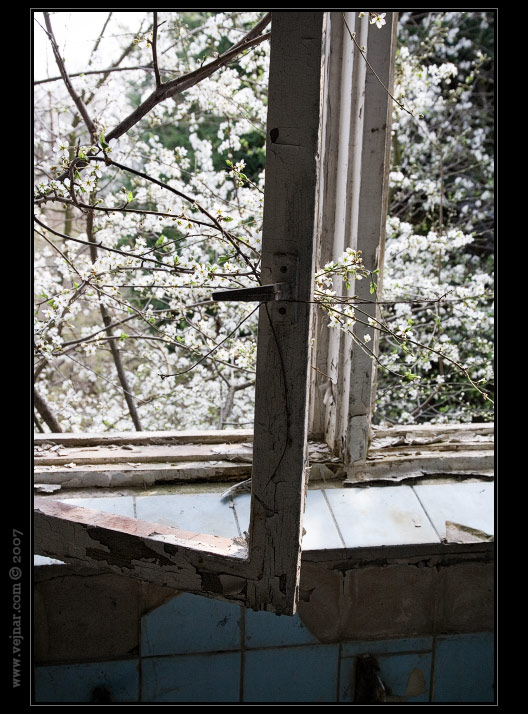 milovice okno