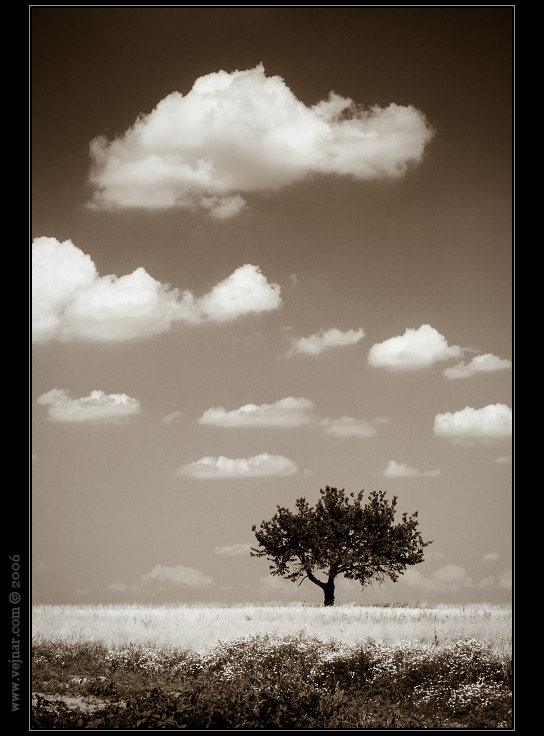 obloha 05