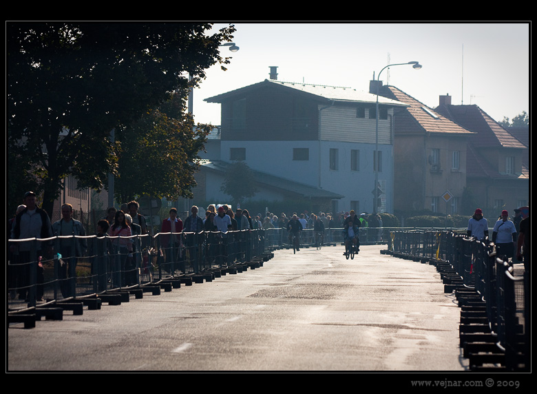 pilgrims for pope