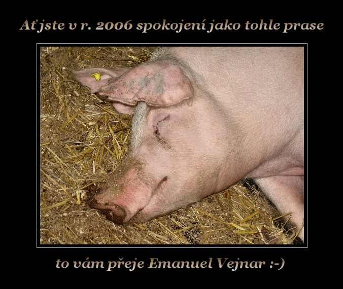 PF 2006