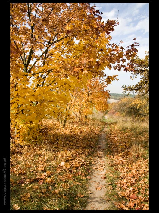 autumn nature