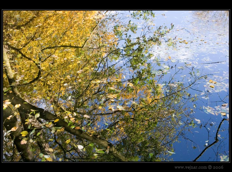 pictures of autumn
