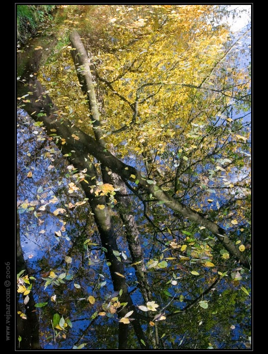 autumn photo