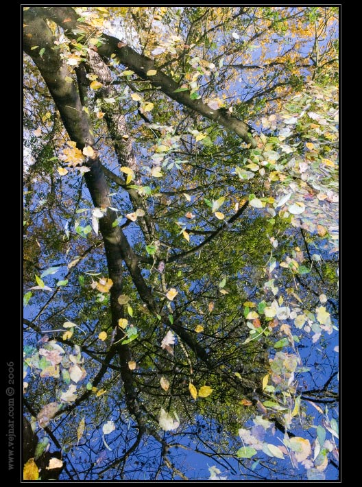 autumn colours