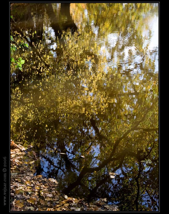 autumn photogallery