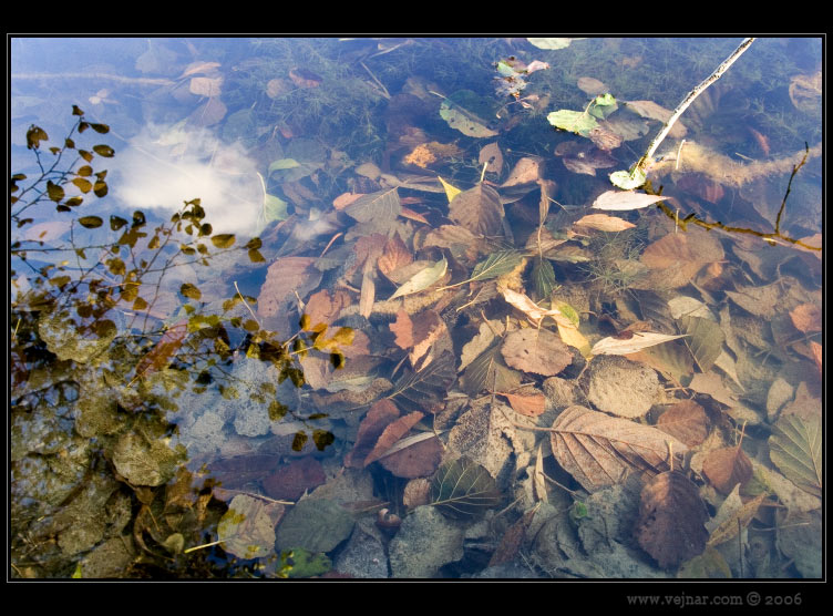 autumn pictures