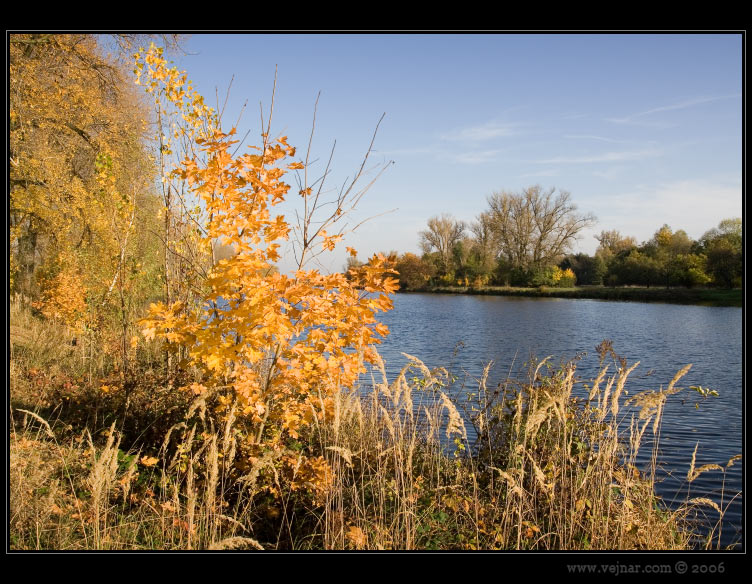 autumn nature