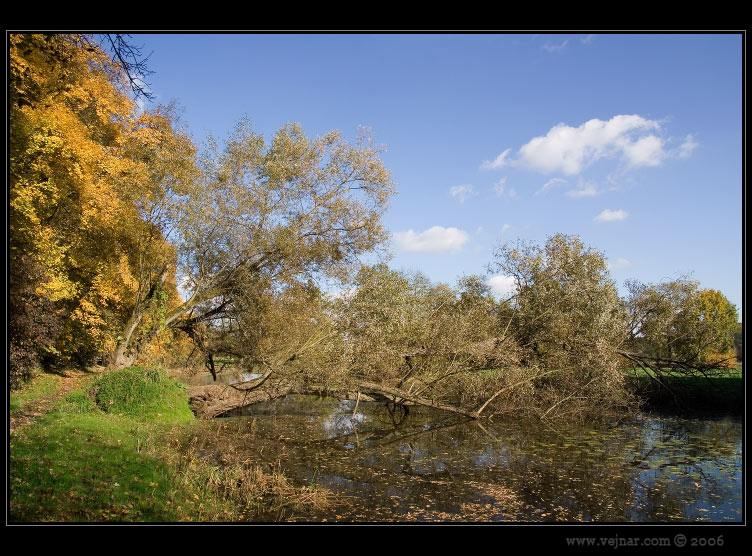 autumn wallpapers