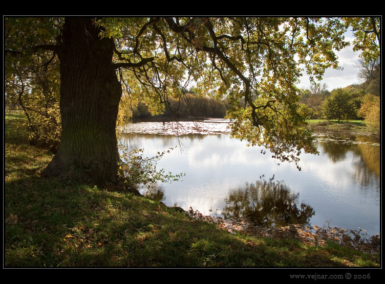 autumn pictures