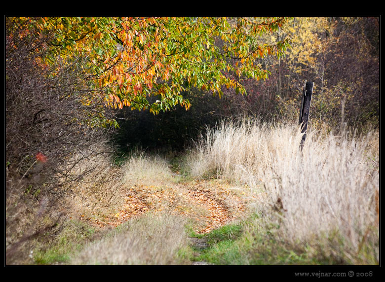 autumn pictures 01