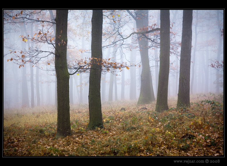 autumn pictures 03