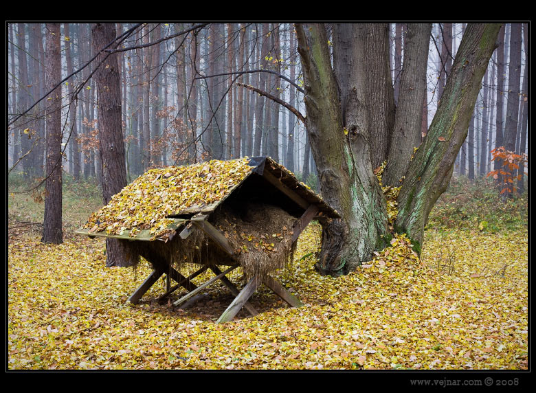 autumn nature 05
