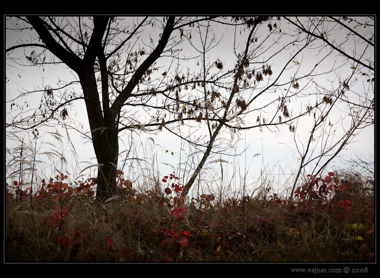 autumn photo 07