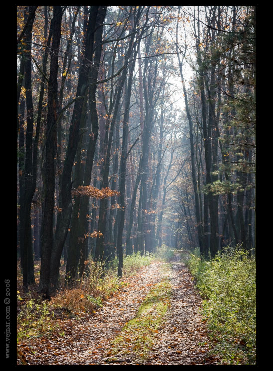 autumn pictures 10