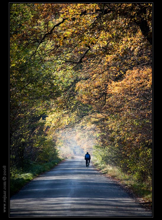 autumn nature 11