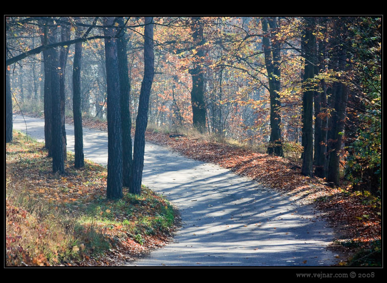 autumn photo 12