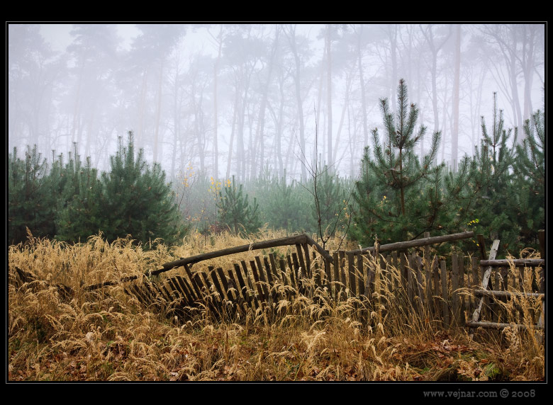 autumn nature 14