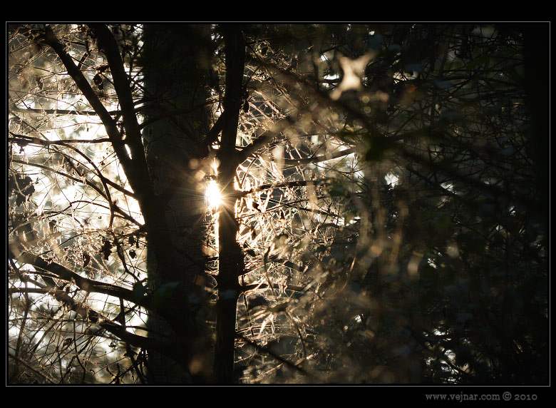 autumn pictures 01