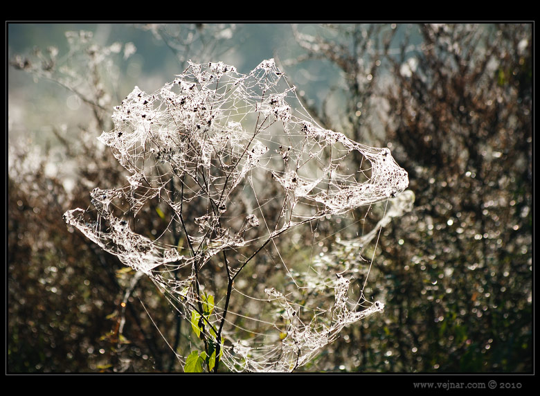 autumn pictures 02