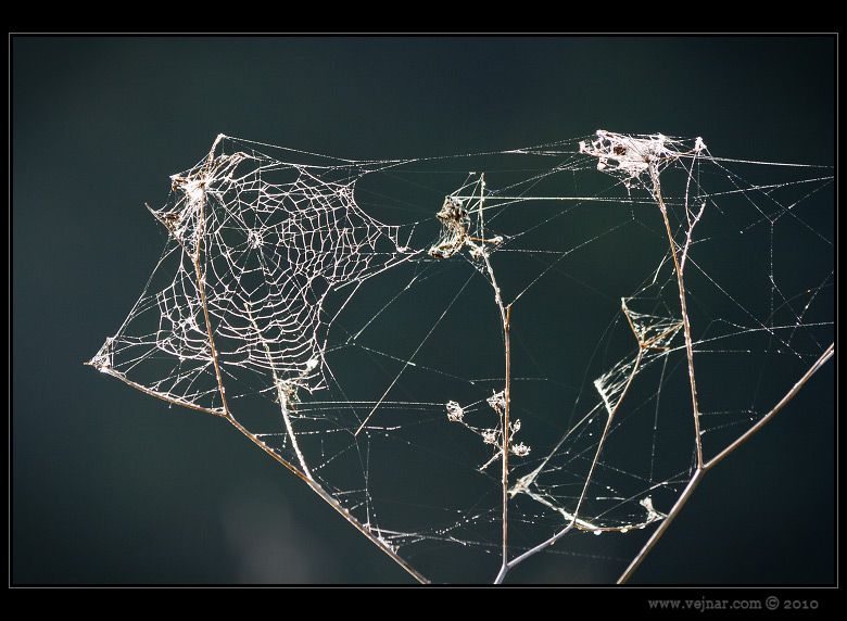 autumn nature 05