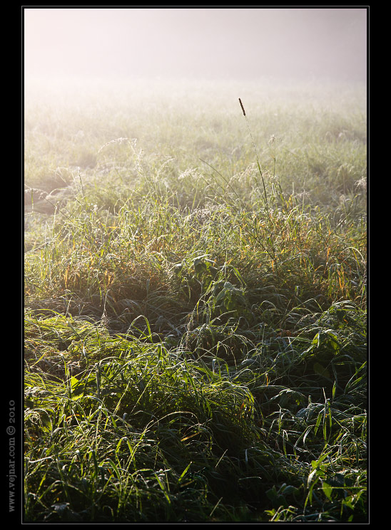 autumn nature 06