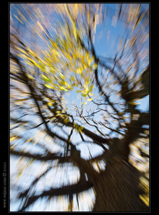 autumn photo 07