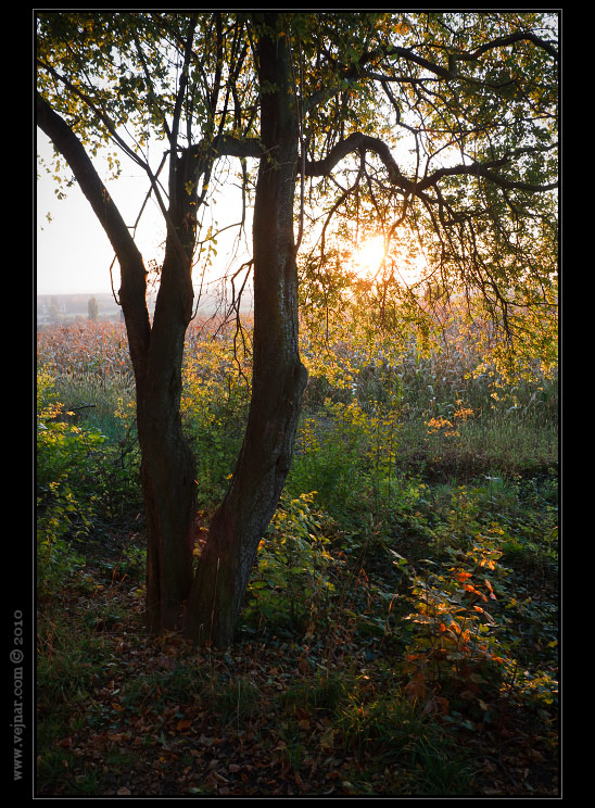 autumn photo 08
