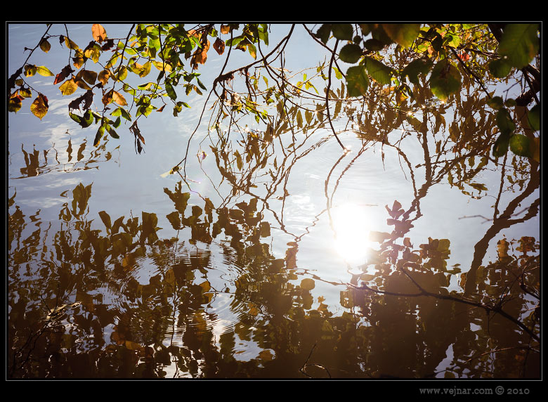 autumn nature 11