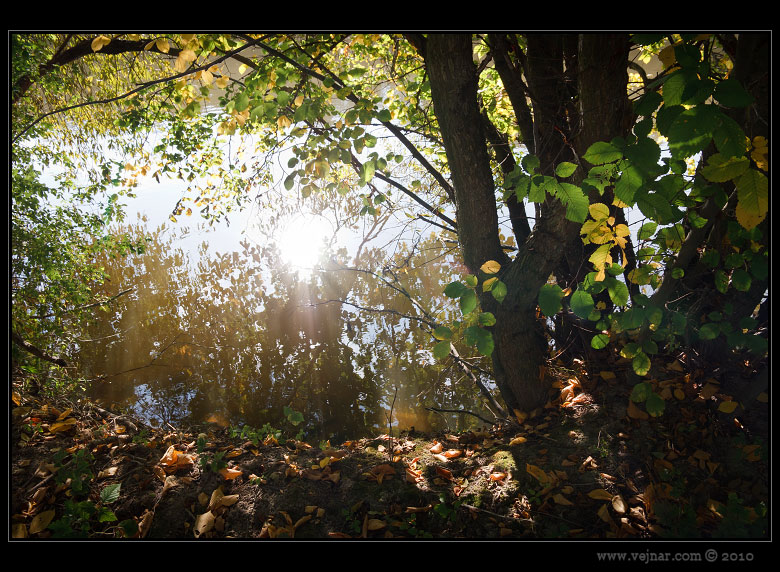 autumn photo 12