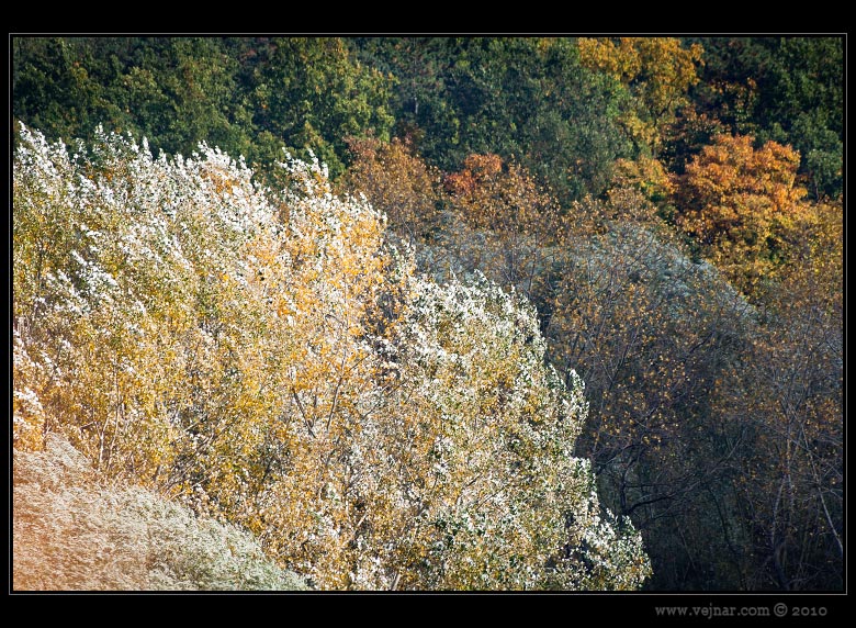 autumn nature 15
