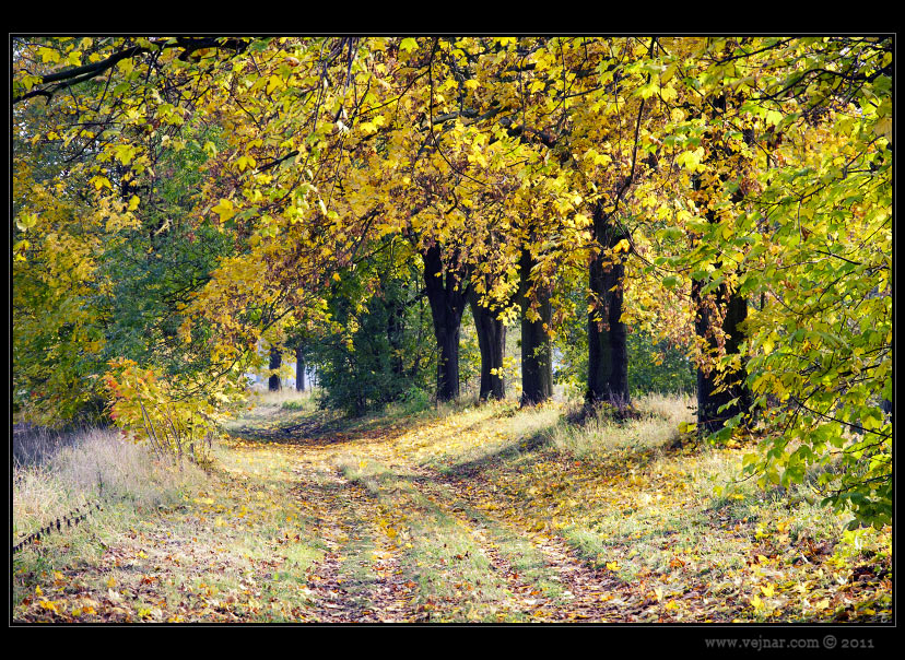 autumn pictures 01